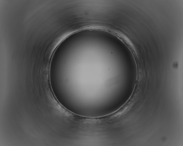 X0000091170860200708231504