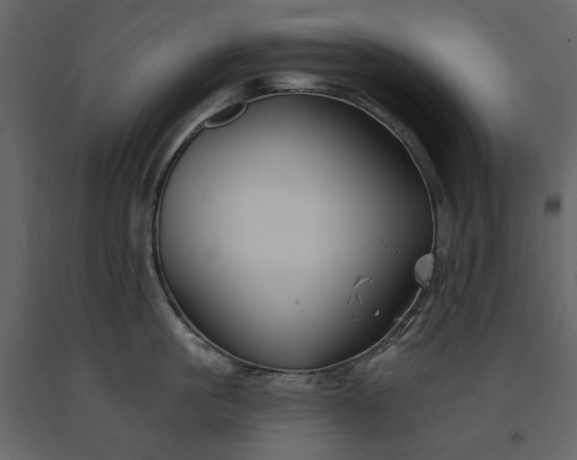 X0000091170861200708231504