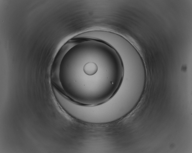 X0000091170862200708231504