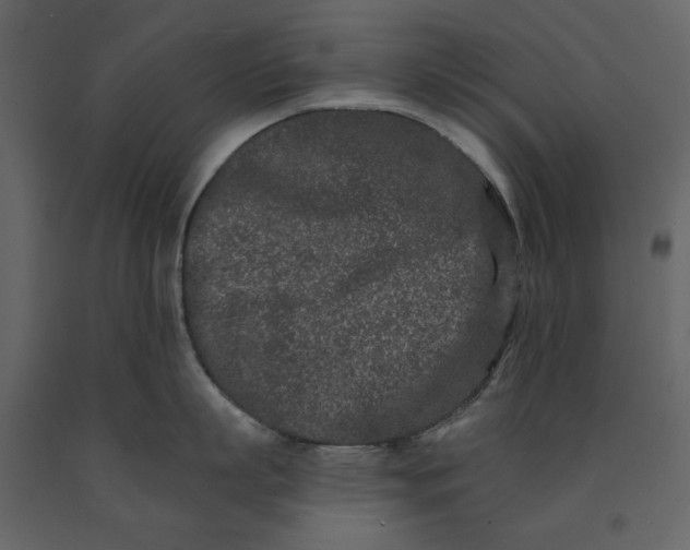 X0000091170863200708231504