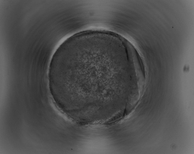 X0000091170864200708231504