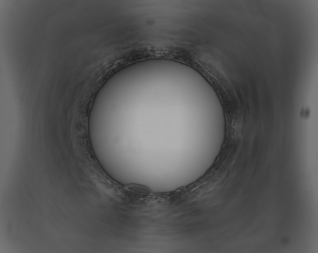 X0000091170865200708231503