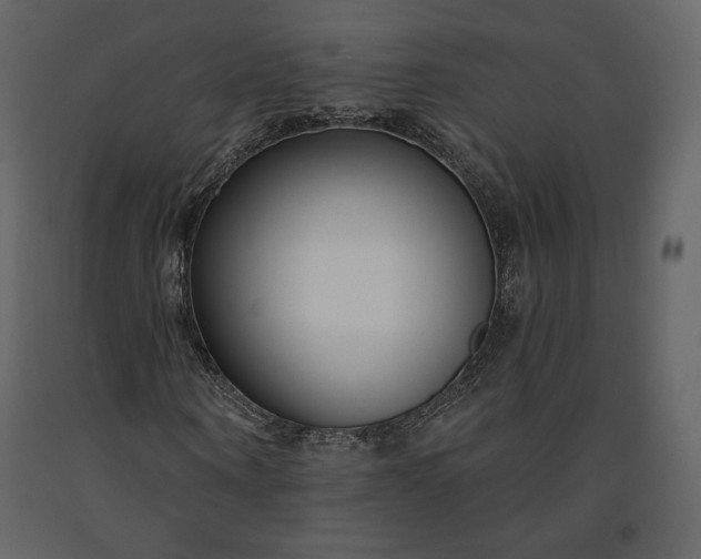 X0000091170866200708231503