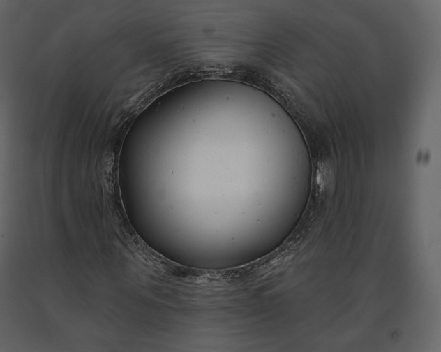 X0000091170867200708231503