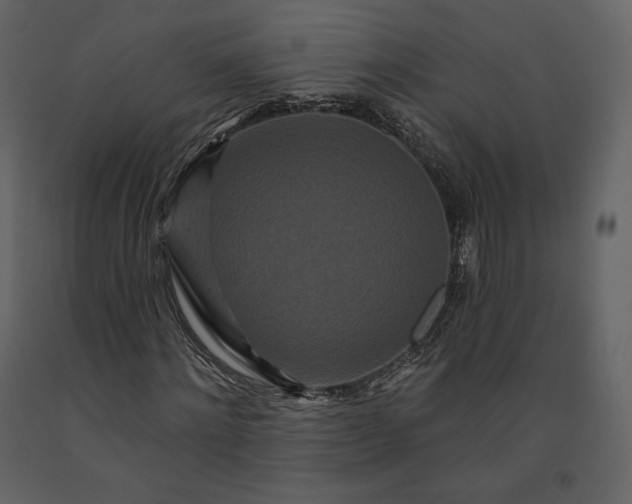 X0000091170868200708231503