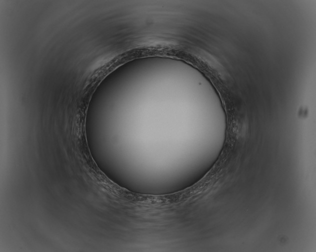 X0000091170869200708231503