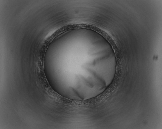 X0000091170871200708231503