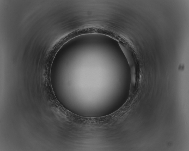 X0000091170872200708231503