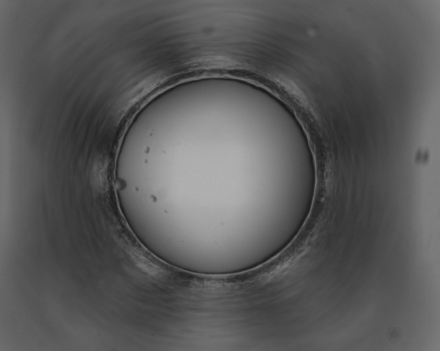 X0000091170873200708231503