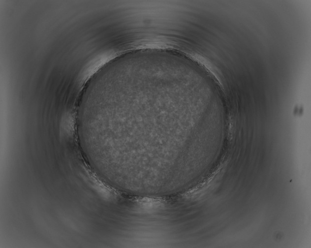 X0000091170874200708231503