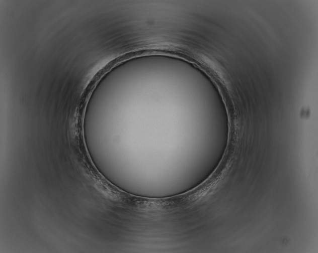 X0000091170875200708231503