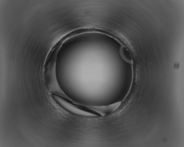 X0000091170876200708231503