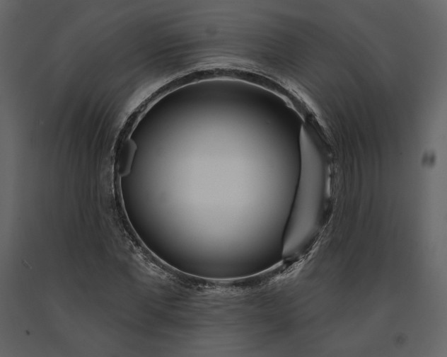 X0000091170877200708231503