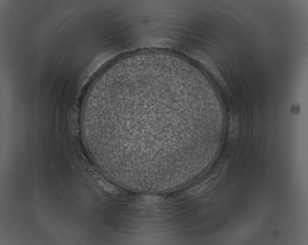 X0000091170878200708231503