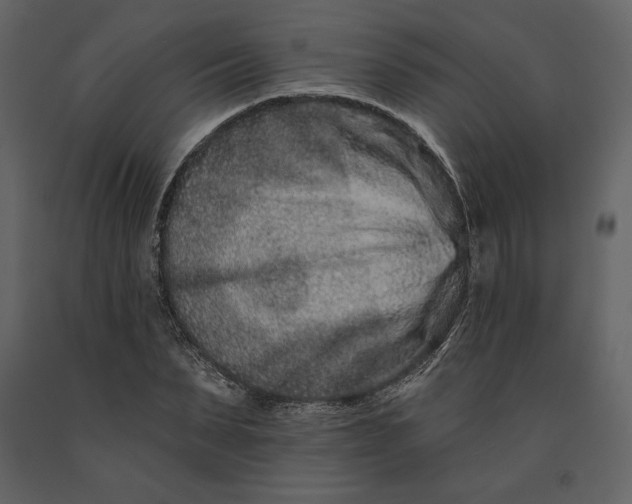 X0000091170879200708231503