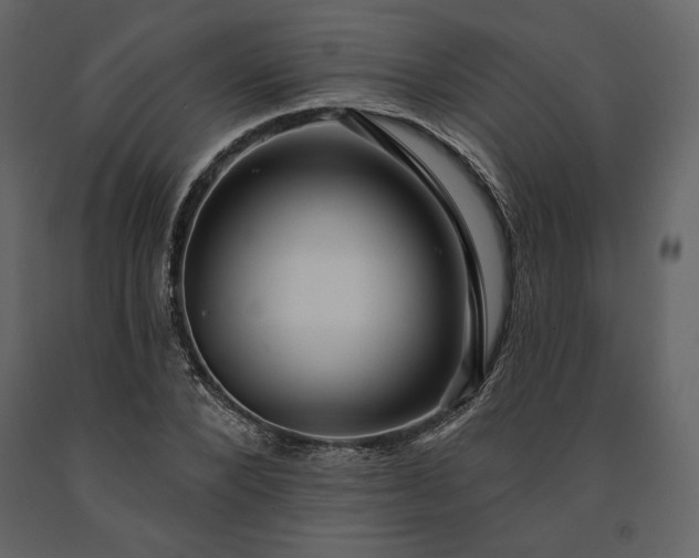 X0000091170880200708231503