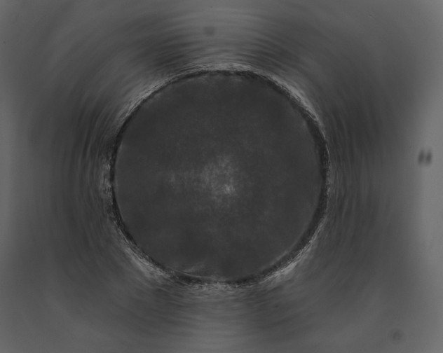 X0000091170881200708231503