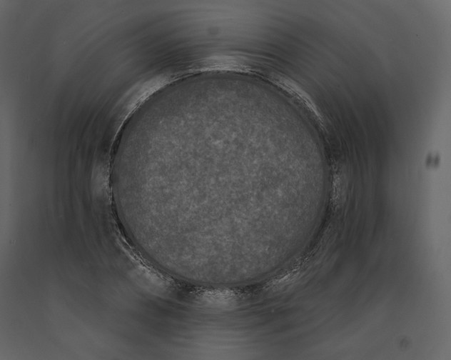 X0000091170882200708231503