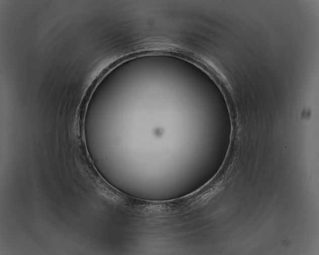 X0000091170883200708231503