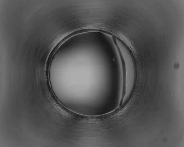 X0000091170884200708231503