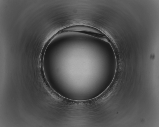 X0000091170885200708231503