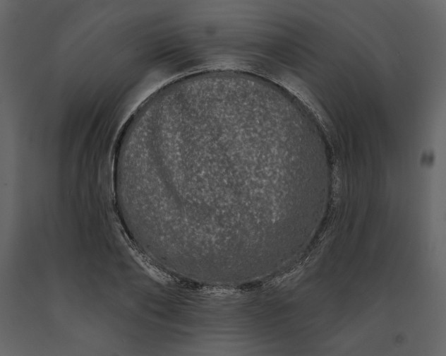 X0000091170886200708231503