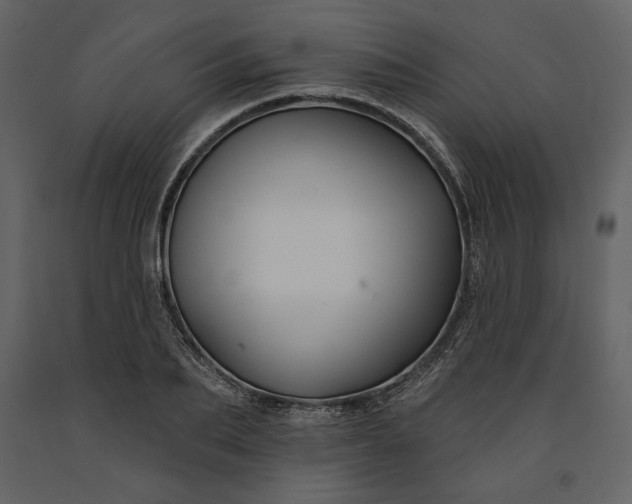 X0000091170887200708231503