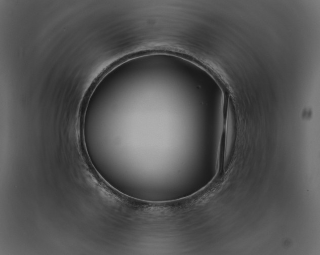 X0000091170888200708231503