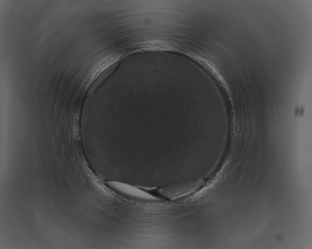 X0000091170889200708231503