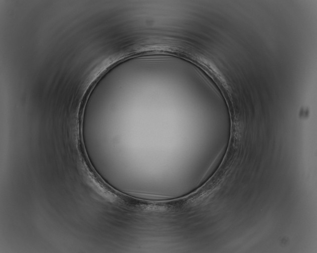 X0000091170890200708231503