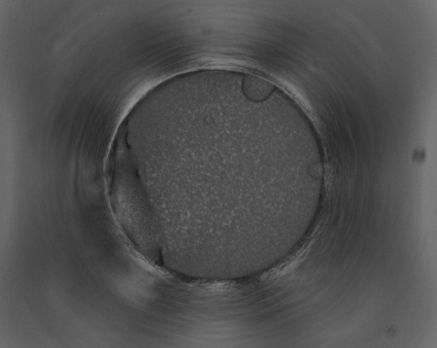 X0000091170891200708231503