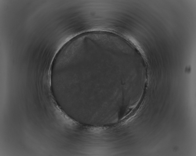 X0000091170892200708231503