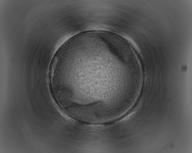 X0000091170893200708231502