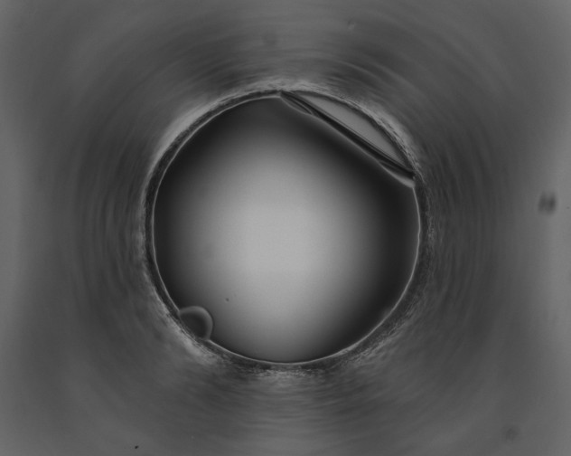 X0000091170894200708231502