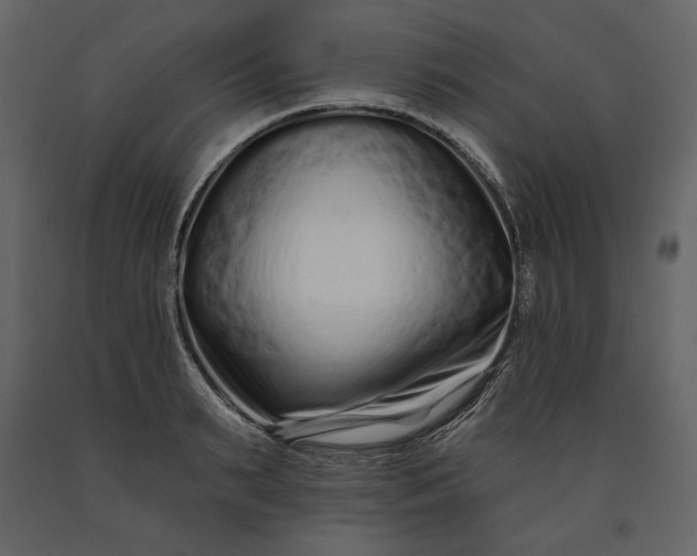 X0000091170895200708231502