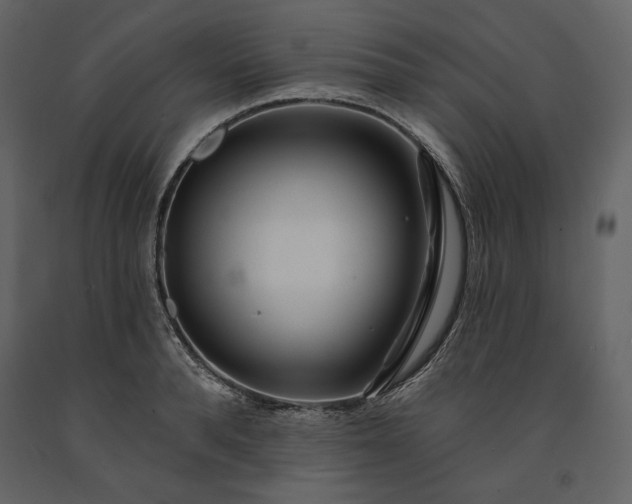 X0000091170896200708231502