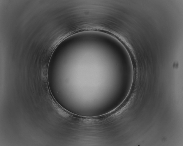 X0000091170897200708231502