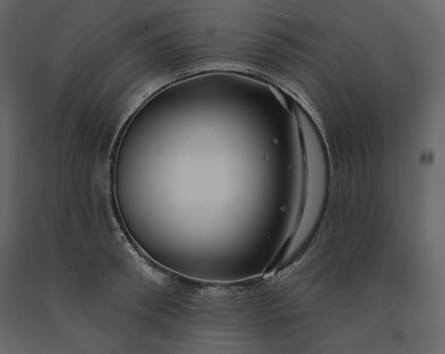 X0000091170898200708231502