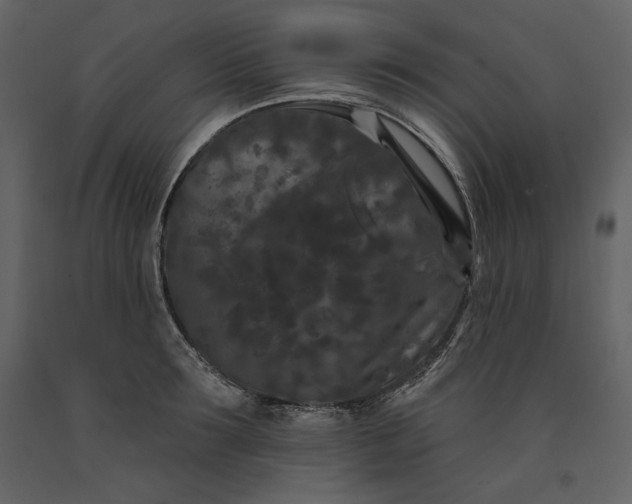 X0000091170899200708231502