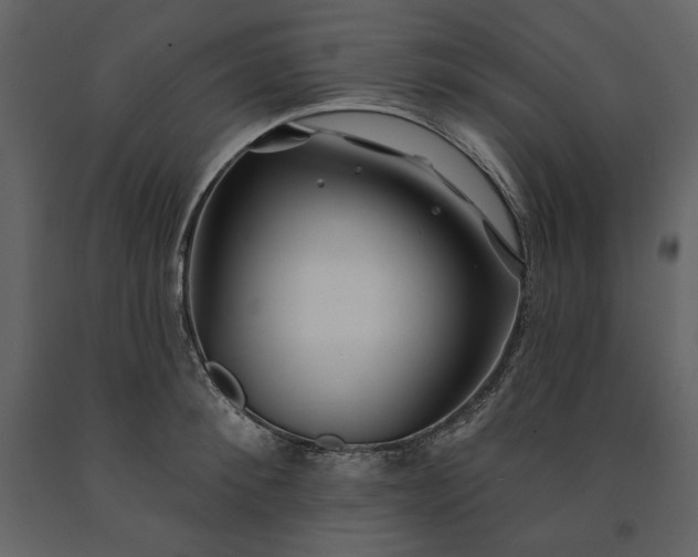 X0000091170900200708231502