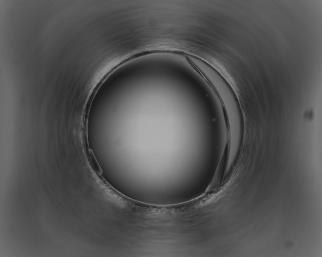 X0000091170901200708231502