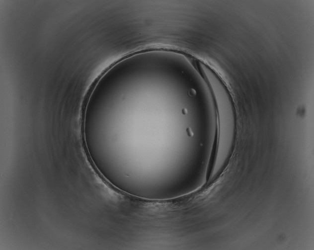 X0000091170902200708231502