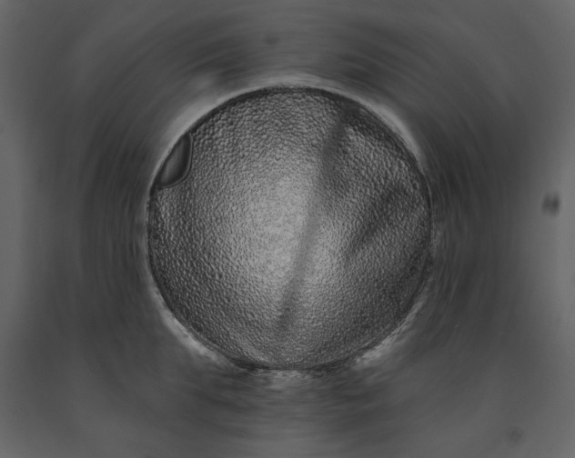 X0000091170903200708231502