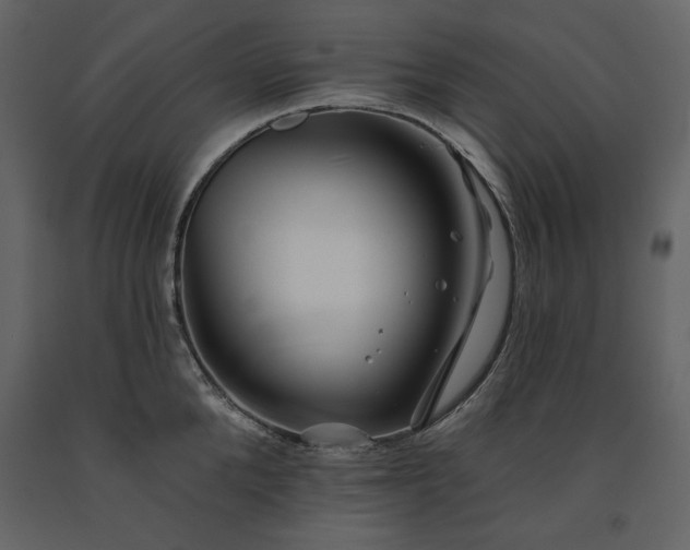 X0000091170904200708231502