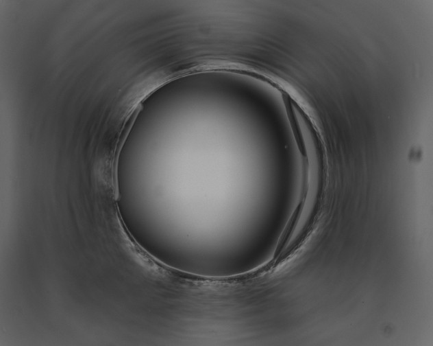 X0000091170905200708231502