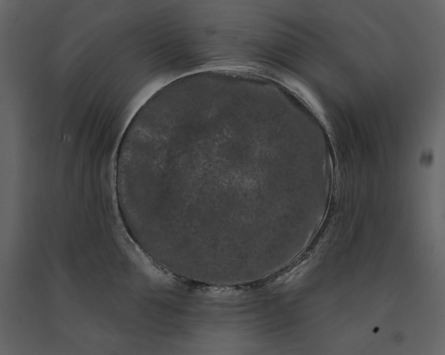 X0000091170907200708231502