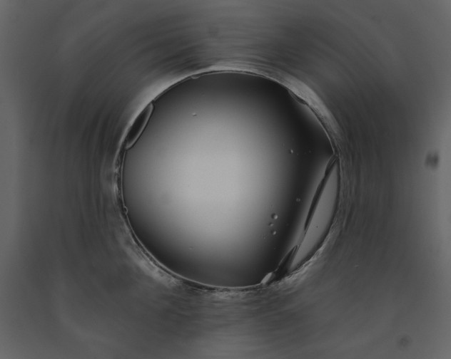 X0000091170908200708231502