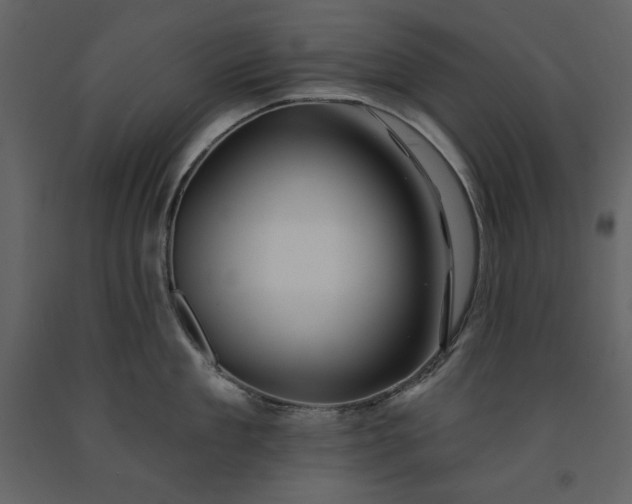 X0000091170909200708231502