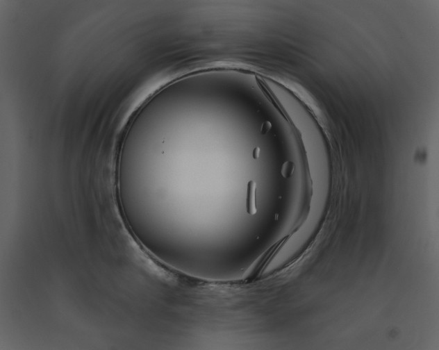 X0000091170910200708231502