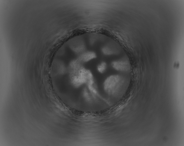 X0000091170913200708231502